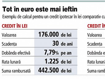 Lei sau euro? Ce moneda este mai avantajoasa pentru un credit de casa, dupa ce dobanzile la lei au coborat sub 8% pe an