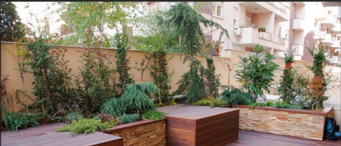 Ce decking sa alegi pentru terasa ta? Lemn exotic sau WPC – ghid complet de la Deckexpert