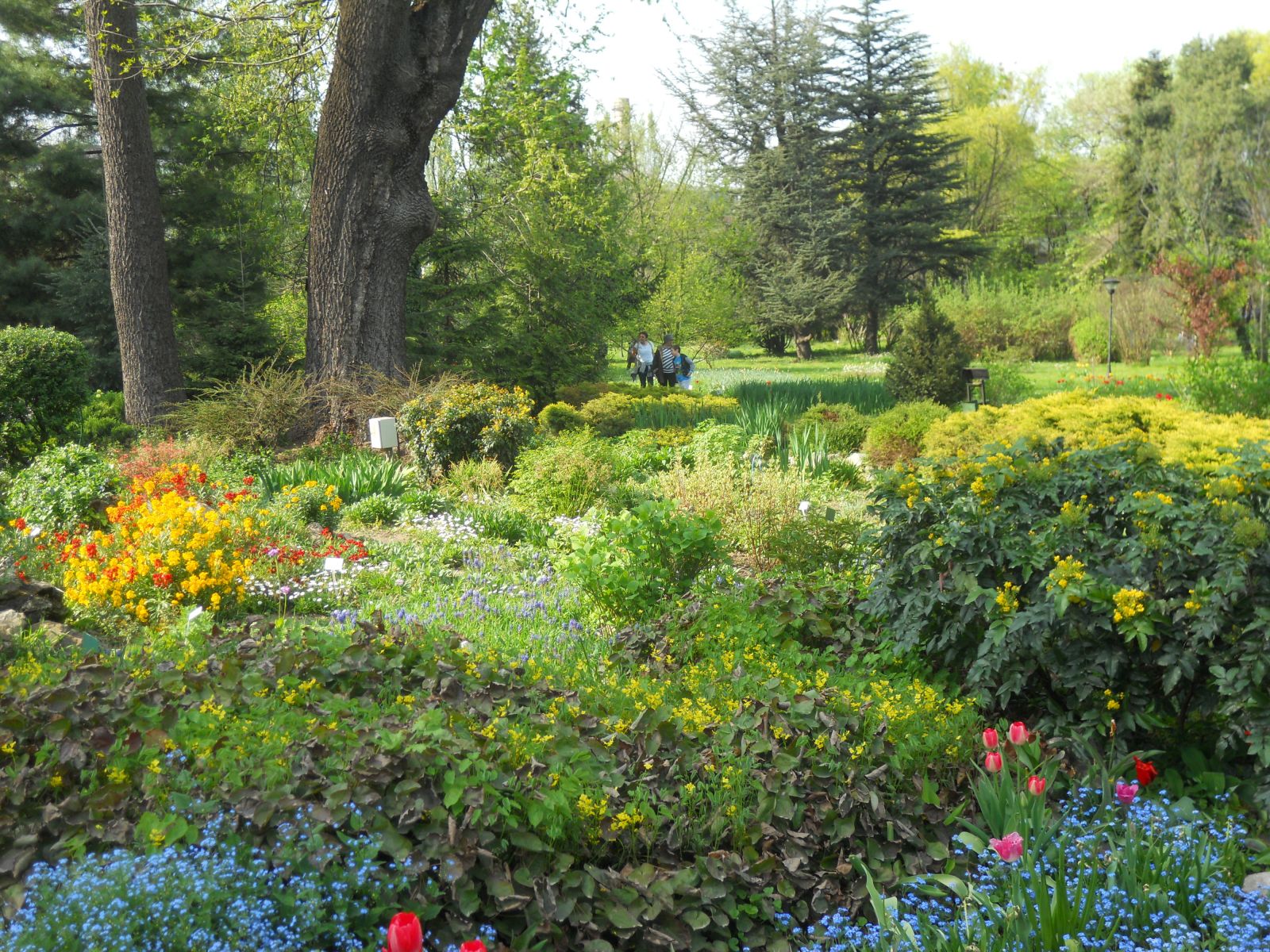 gradina botanica bucuresti